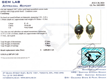 Load image into Gallery viewer, Moonstone Drop Earrings
